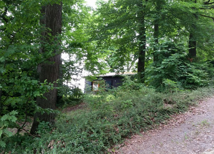 Haus Schönblick - im Wäldchen