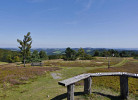 Usseln - Hochheide am Osterkopf mit Fernsicht