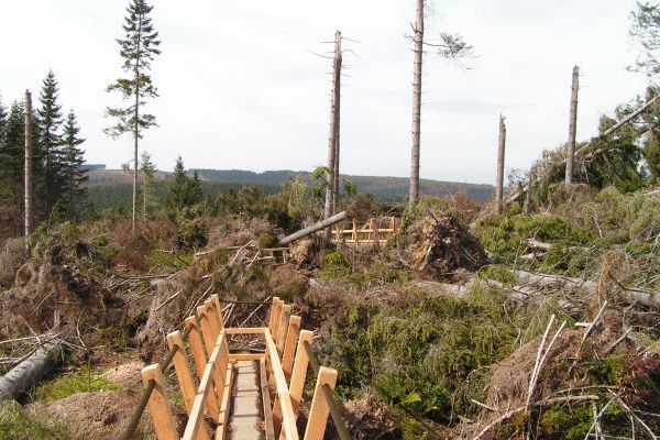 KYRILL-PFAD AUF DEM ETTELSBERG