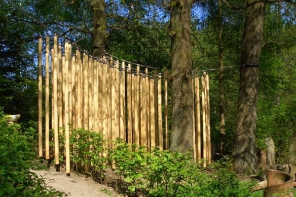 KLANGWALD AM MÖHNESEE