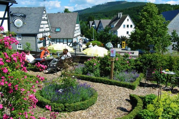 ROSENDORF OLSBERG - ASSINGHAUSEN