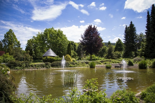 KURVIERTEL & KURPARK BRILON