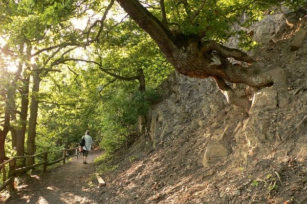NATIONALPARK KELLERWALD-EDERSEE - UNESCO WELTNATURERBE