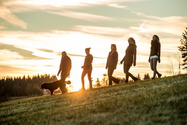 WANDERPARADIES SAUERLAND MIT HUND