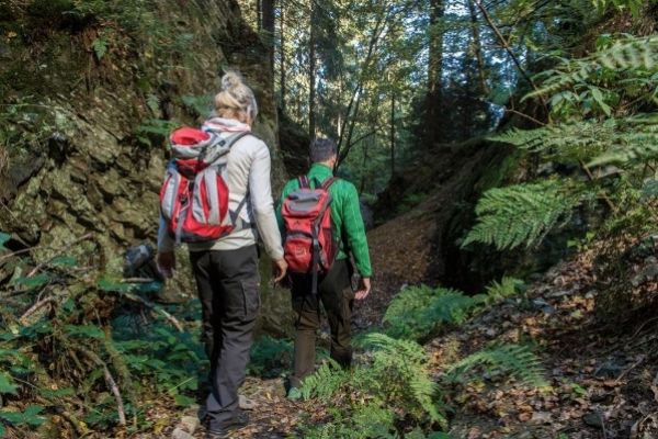 KAHLER ASTEN-STEIG - TRAUMTOUR IM SAUERLAND