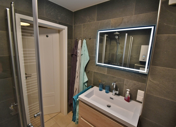 Fewo Blumes Bergfrieden - modernes Duschbad