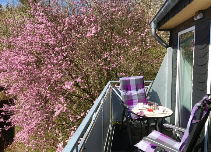 Comfort appartement bergmagie (MijnCard+)