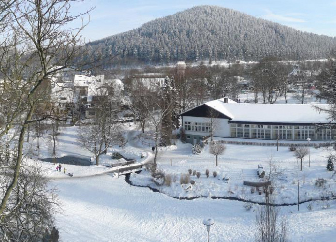 Fewo M am Kurpark - Blick in den winterlichen Kurpark