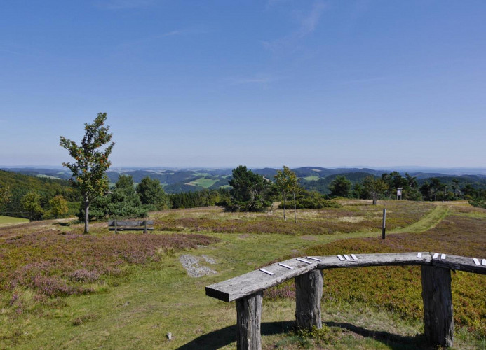 Usseln - Hochheide am Osterkopf mit Fernsicht
