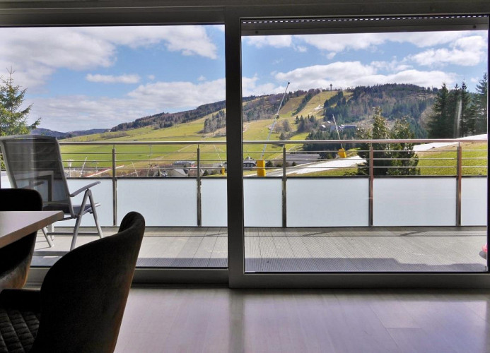 Q12 - Fewo Berg*** - Wohnbereich mit Panorama-Aussicht