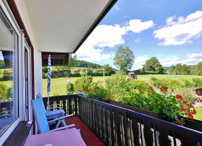 Fewo Bienenstock - Westbalkon