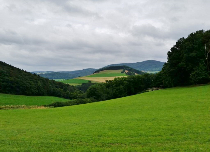 Haus Schönblick - Aussicht vom Haus