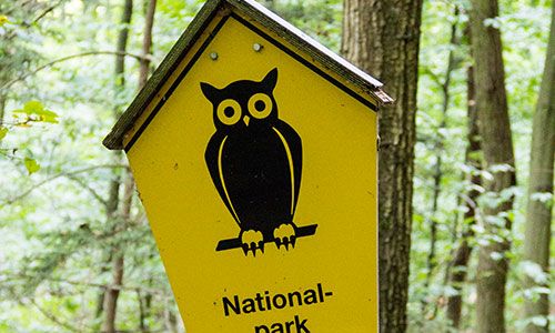 Nationalpark Kellerwald-Edersee