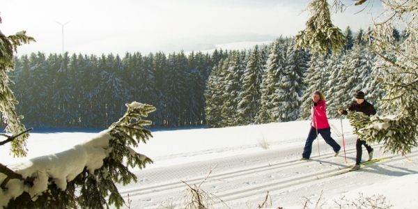 Ski-Langlauf durch Tannenwälder in Willingeng